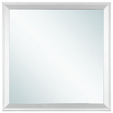Primo Mirror, Silver Champagne