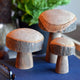 3 Piece Wooden Mushroom Set