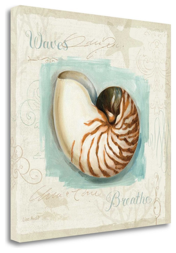 "Coastal Jewels II" By Lisa Audit, Giclee Print on Gallery Wrap Canvas