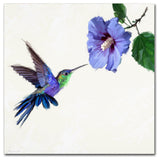 The Macneil Studio 'Humming Bird' Canvas Art, 14"x14"