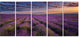 Dark Lavender Field with Cloudy Sky, Floral Canvas Art Print, 60"x28", 5 Panels