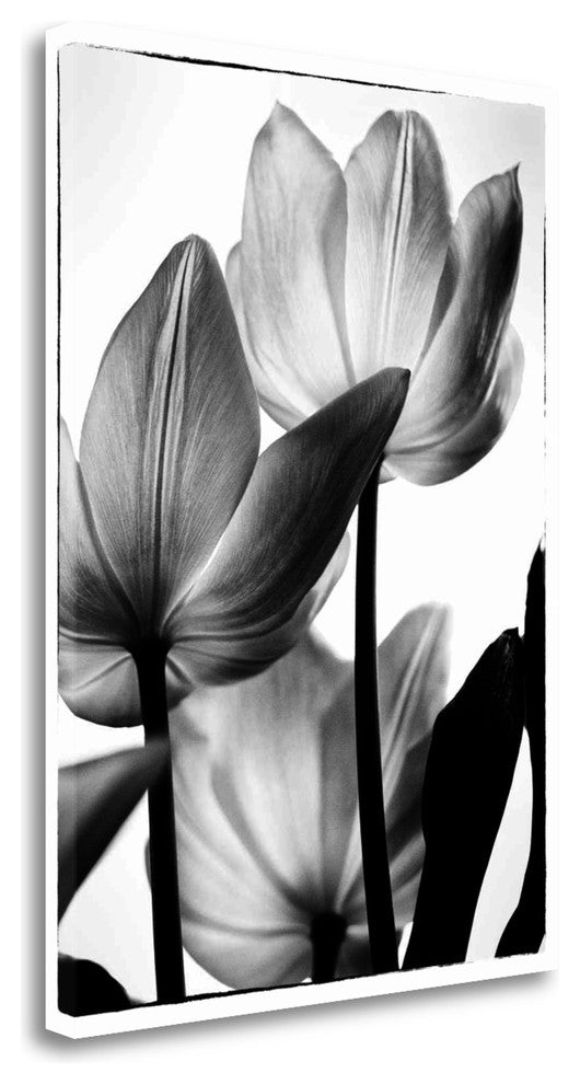 "Translucent Tulips III" By Debra Van Swearingen, Giclee on Gallery Wrap Canvas