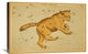 "Ursa Major, 1825" Stretched Canvas Giclee by Jehoshaphat Aspin, 30"x20"