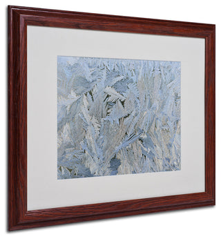 'Frost Pattern #6' Matted Framed Canvas Art by Kurt Shaffer