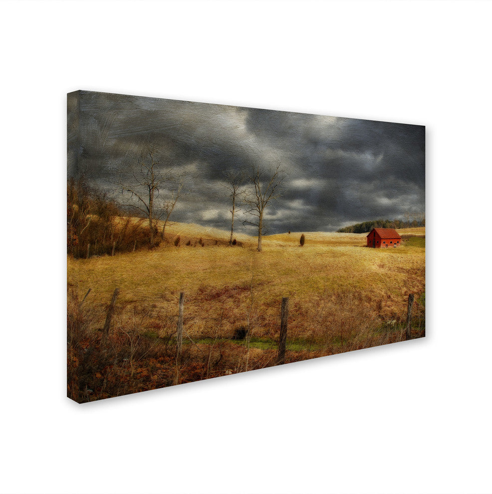 ''Winter Begins'' Canvas Art by Lois Bryan