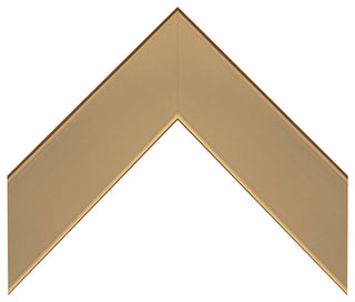 Meade Framed Wall Mirror, Champagne Gold, 22"x30"