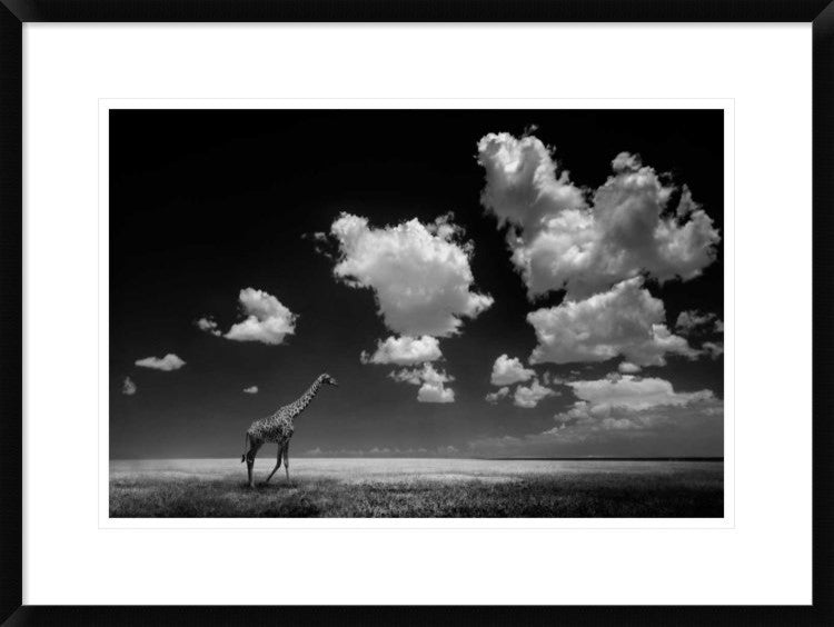 "Gone With The Clouds" Framed Digital Print by Alberto Ghizzi Panizza, 30x22"