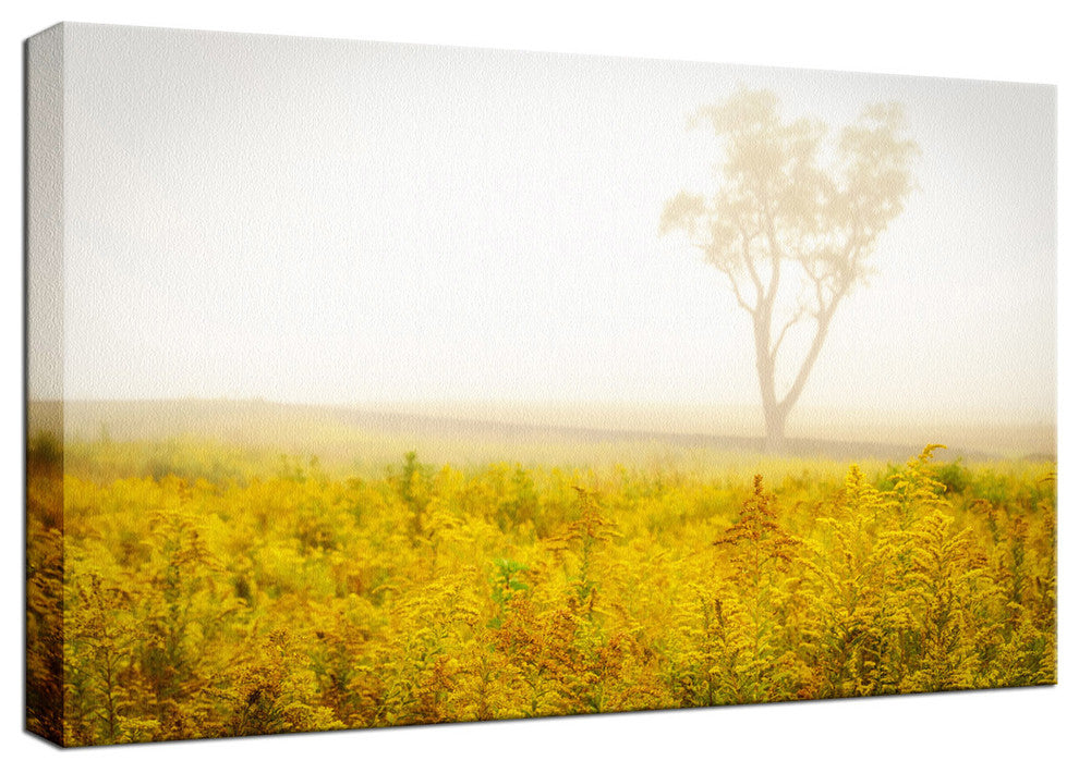 Dreams of Goldenrod and Fog Rural Canvas Wall Art Print, 24" X 36"