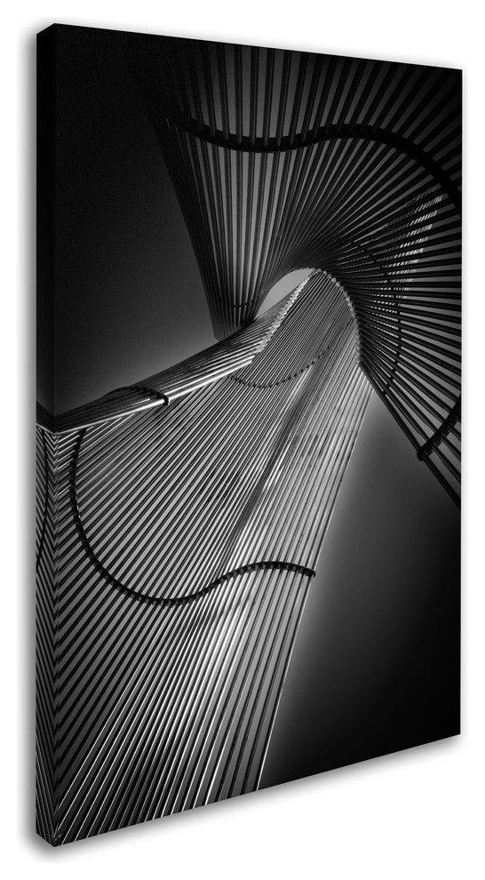 Le Vu Cuong 'Steel Frame' Canvas Art, 30x47