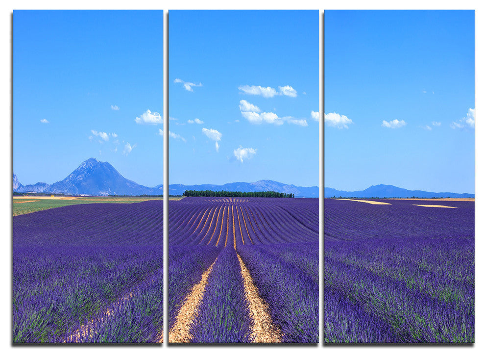 "Lavender Blooming Fields and Trees" Metal Wall Art, 3 Panels, 36"x28"