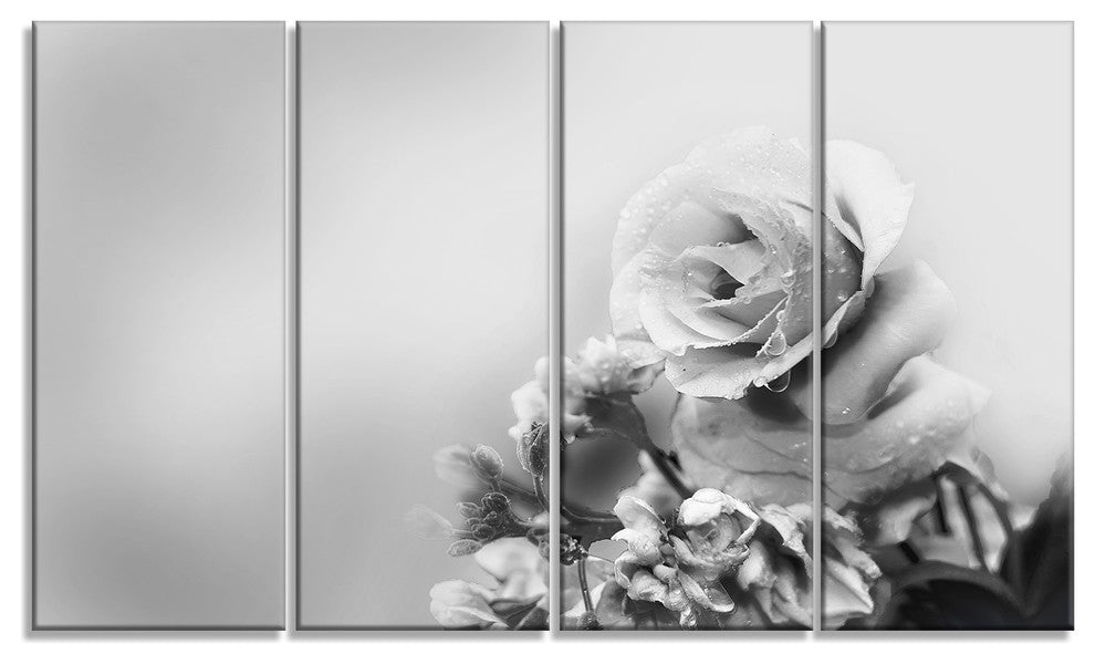 Black and White Rose in Spring., Floral Canvas Print, 48"x28", 4 Panels