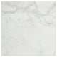 12 X 12 Calacatta Gold Marble Honed Field Tile