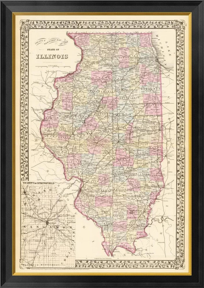 "State of Illinois, 1880"  by Samuel Augustus Mitchell, 29x40"