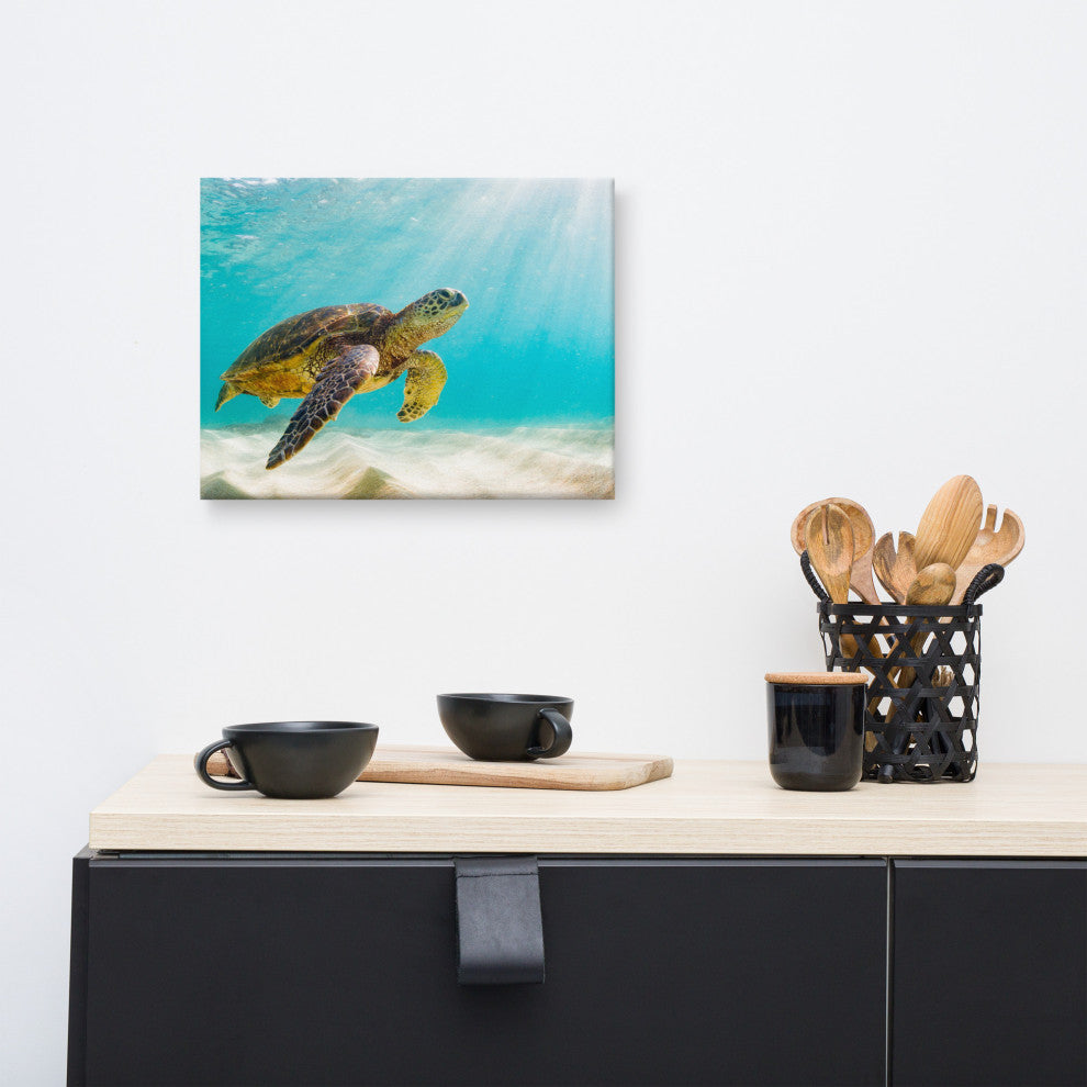 Hawaiian Green Sea Turtle Sea Animal Wildlife Photograph Canvas Wall Art Print, 12" X 16"