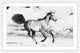 Marmont Hill, "Horse Dance" Framed Painting Print, 36x24