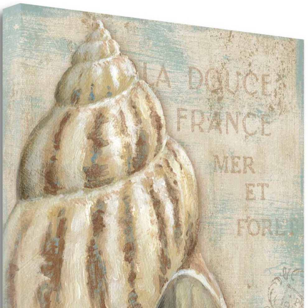 Rustic French Seashell 1 Giclee Wrap Canvas Wall Art