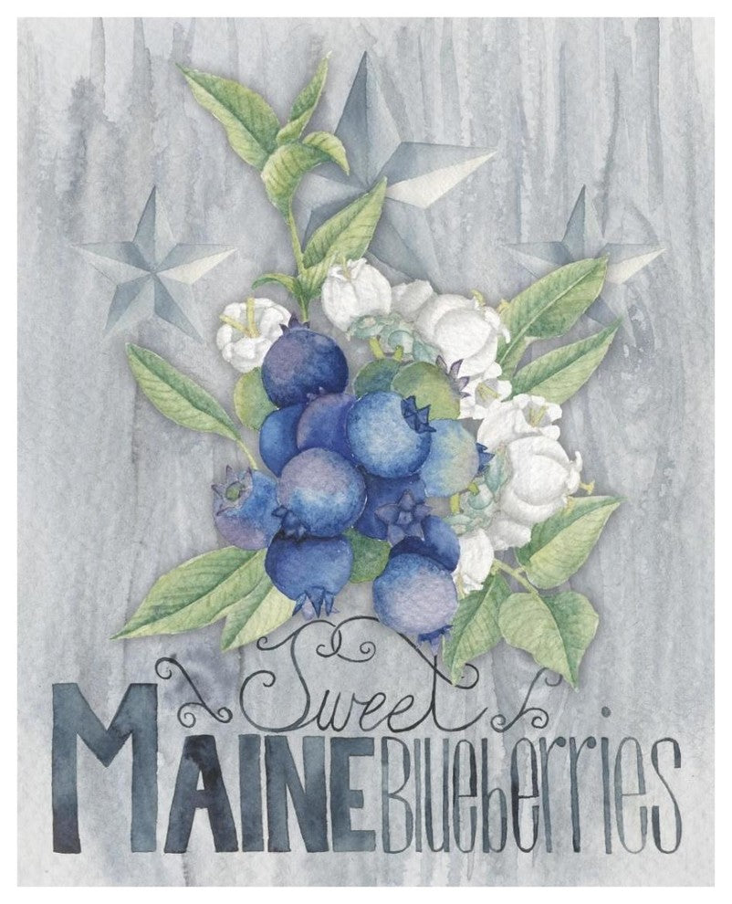"American Berries II" Digital Paper Print by Elyse DeNeige, 24"x30"