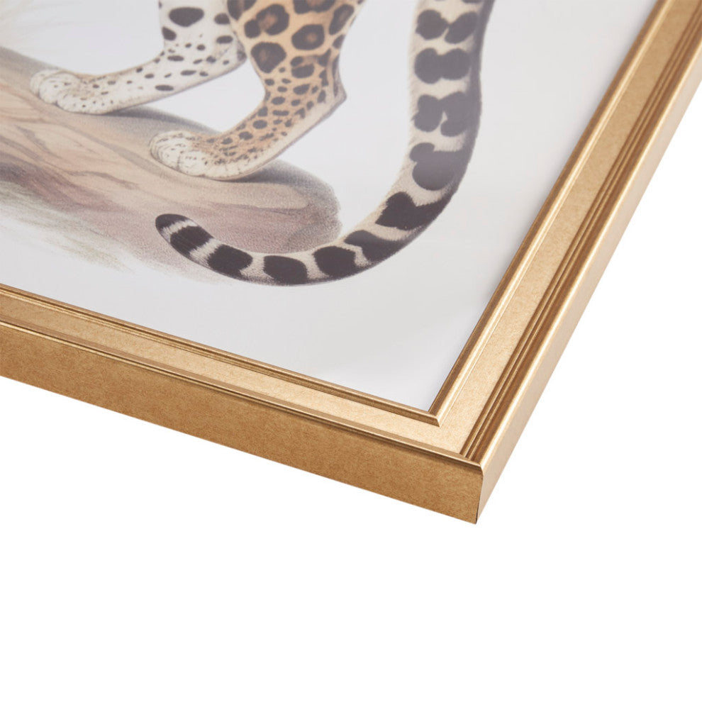 Madison Park The Duel Cheetah Framed Graphic Wall Decor 2 Piece set, Multi