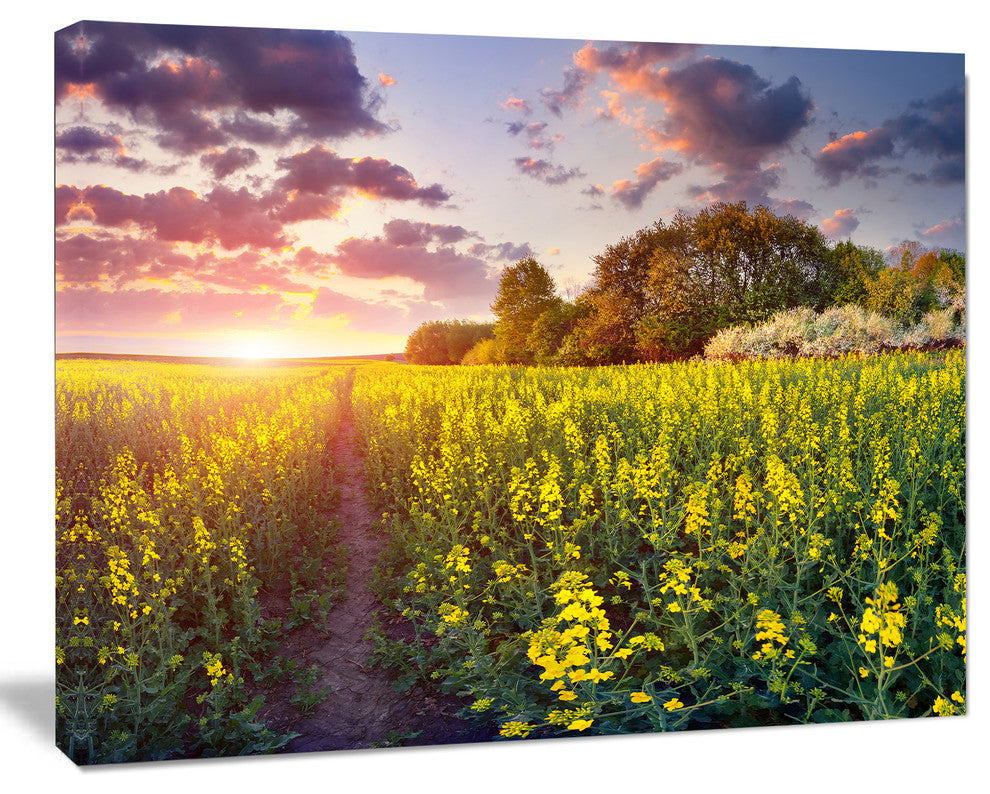 Fantastic Yellow Field at Sunset, Large Landscape Canvas Art Print, 60"x28"