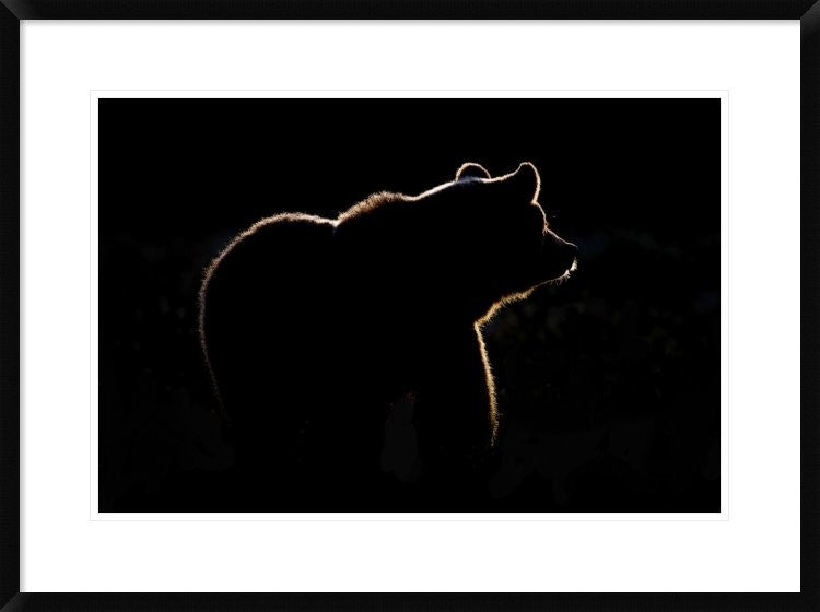 "Highlight" Framed Digital Print by Gorazd Golob, 32x24"