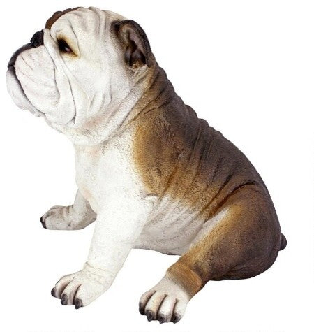 Buster The Bulldog