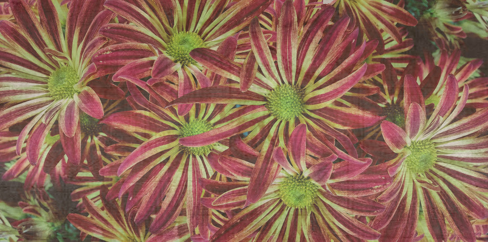 Brilliant Blossoms 24" Coffee Table
