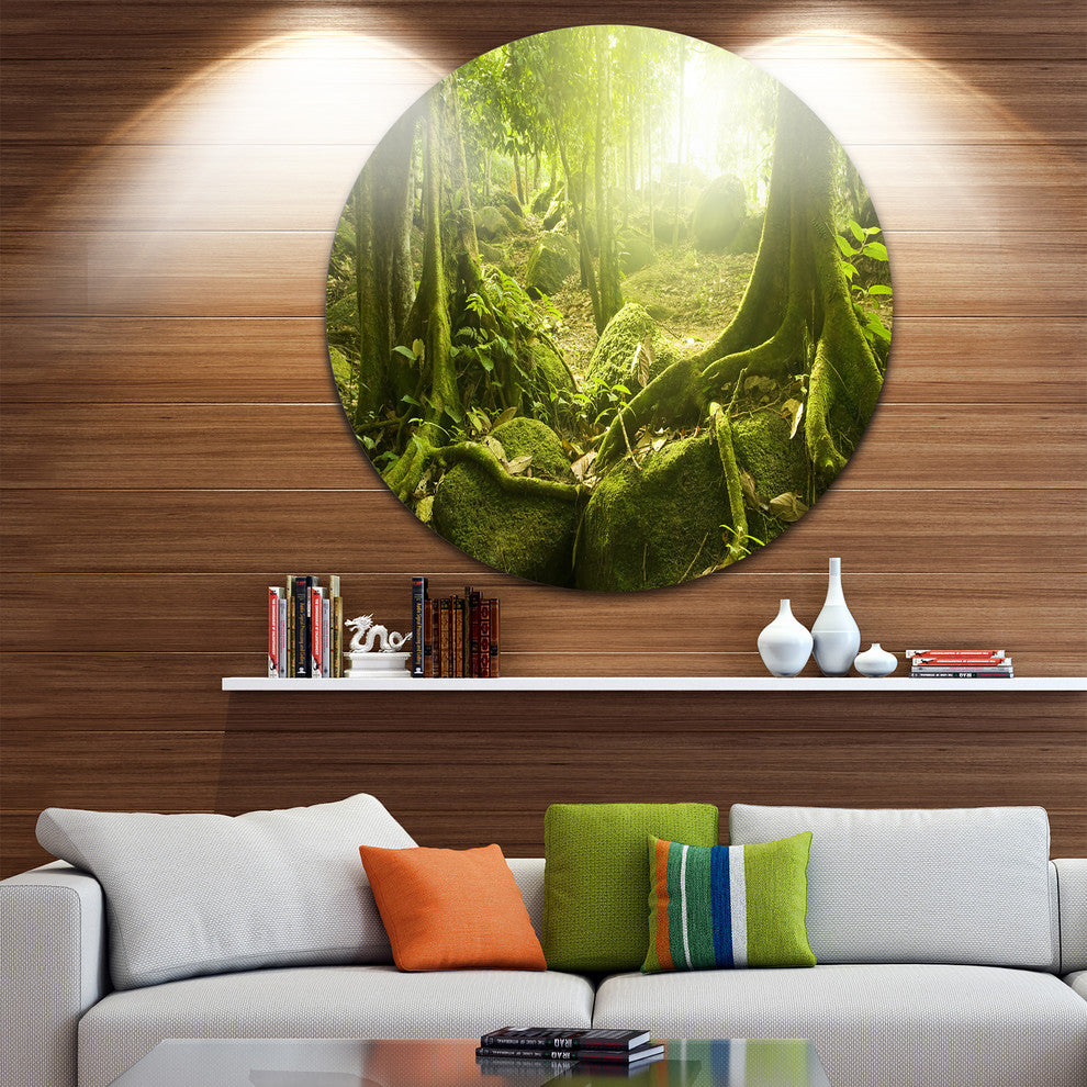 Green Forest With Sun, Landscape Photo Round Metal Wall Art, 11"