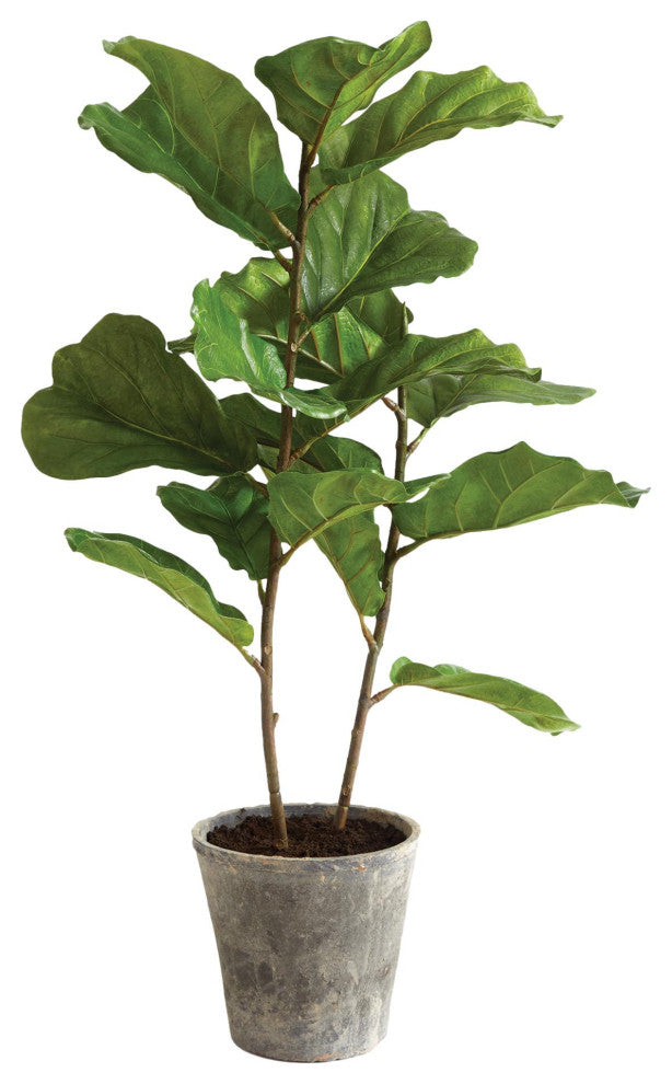 Large Fiddle Leaf Fig Tree Faux Floral Plant Big Leaves Fruit 43 in Rustic Pot