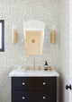 Paris Mini 22 in. W x 28 in. H Arch Polished Frameless Bathroom Vanity Mirror