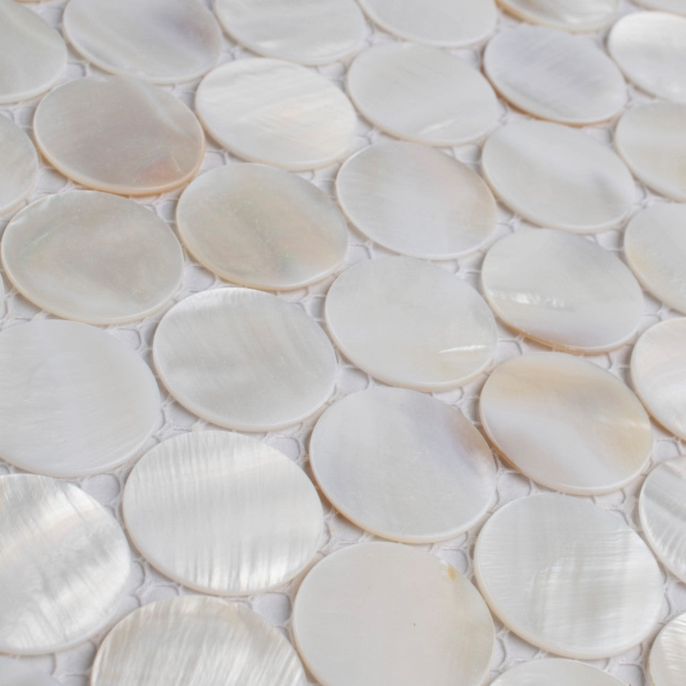 Conchella Penny Mosaic Wall Tile, White