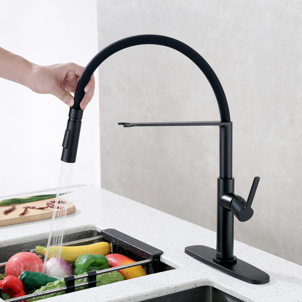 Single Handle Deck Mounted High Arc Pull Out  Kitchen Faucet