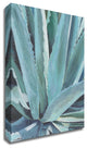 Blue Agave by Alana Clumeck, Print on Canvas, 24"x32"