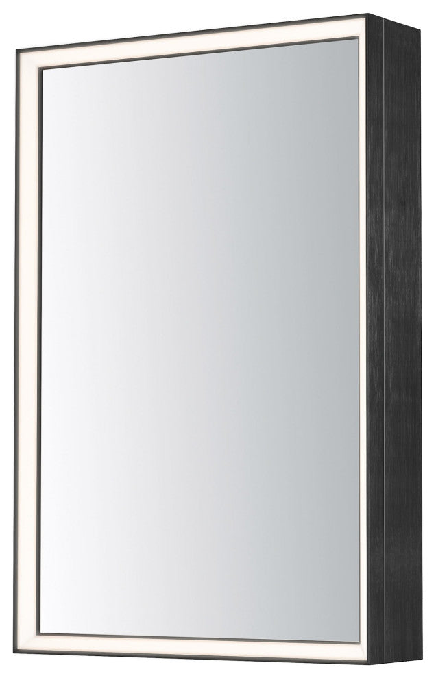 ET2 E42065 Bevel 24"W x 36"H Rectangular Flat Framed Accent - Brushed Black