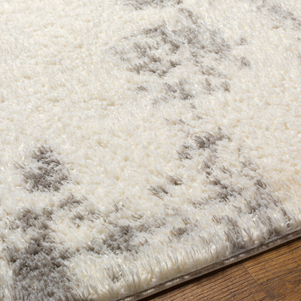 Cloudy shag CDG-2318 Gray/White Machine Woven 7'10" x 10' Rug