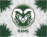 Colorado State Logo Canvas