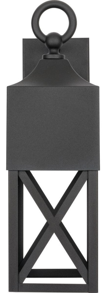 Birkdale Collection 18-3/8, 1-Light Black Dark Sky Outdoor Wall Lantern