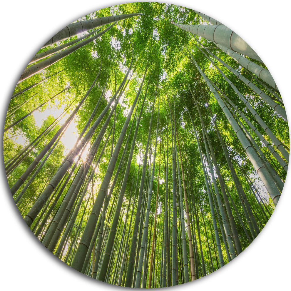 Peaks Of Bamboo In Kyoto Forest, Forest Disc Metal Wall Art, 11"
