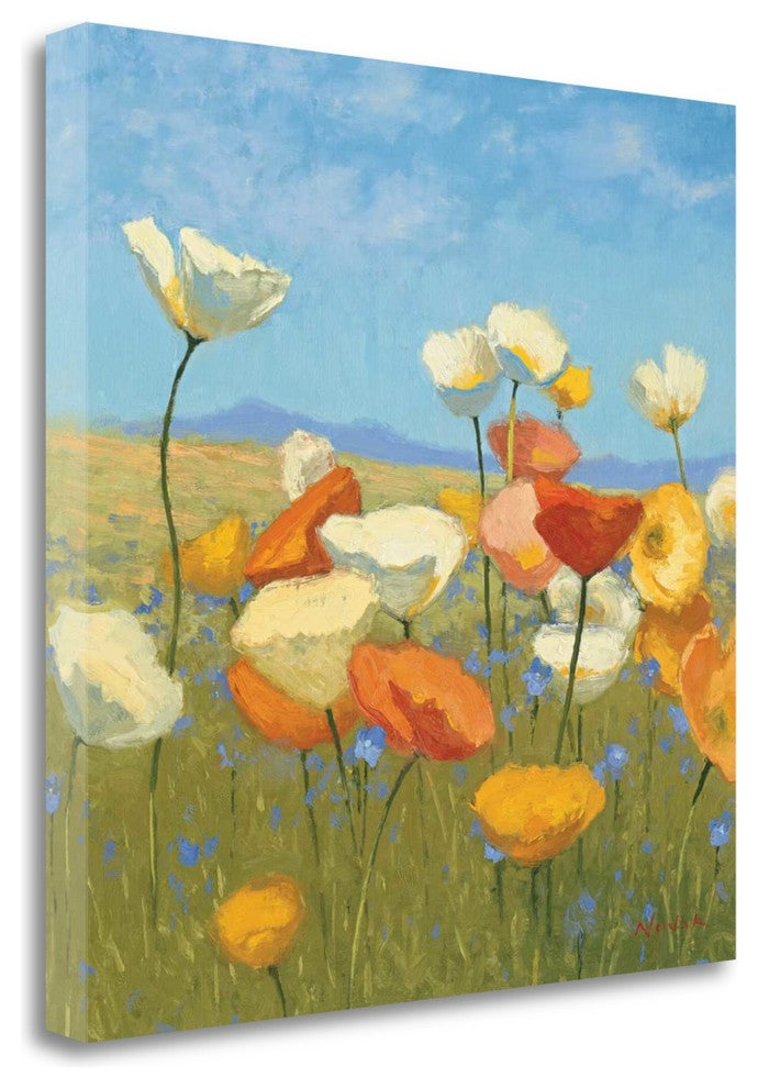 "Springtime Meadow I" By Shirley Novak, Giclee Print on Gallery Wrap Canvas