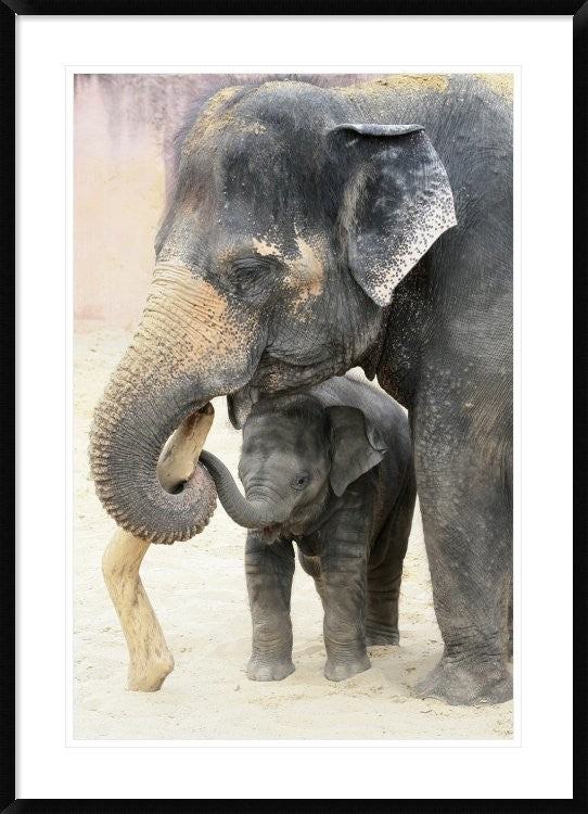 "Two" Framed Digital Print by Antje Wenner-Braun, 32x44"