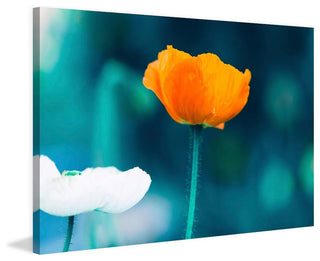 "Pop of Color" Painting Print on Wrapped Canvas