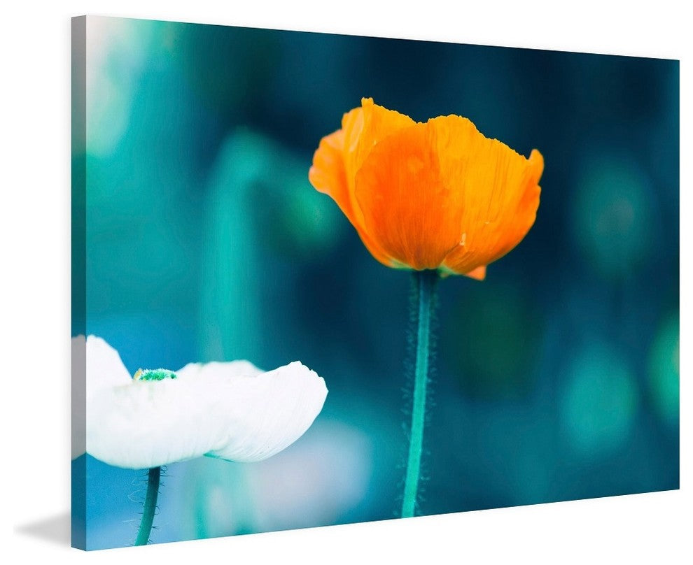 "Pop of Color" Painting Print on Wrapped Canvas