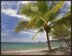 "Palm trees line Penca Beach, Costa Rica"  by Tim Fitzharris, 33x25"