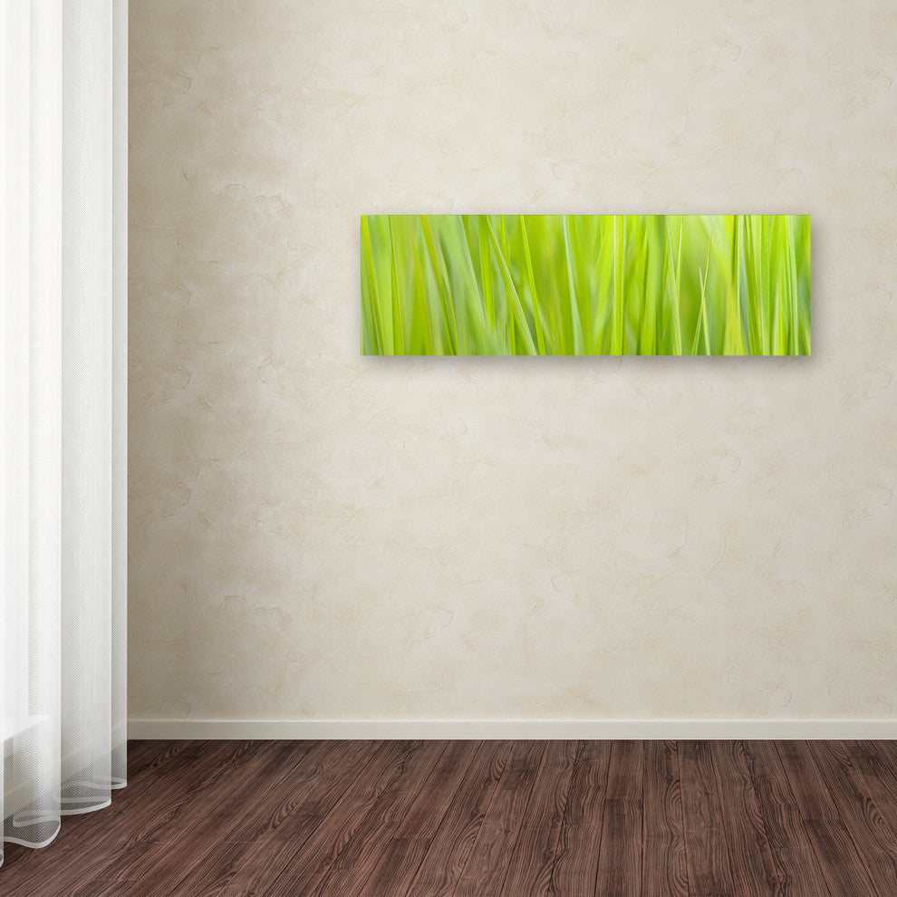 Cora Niele ''Green Grass Scape'' Canvas Art