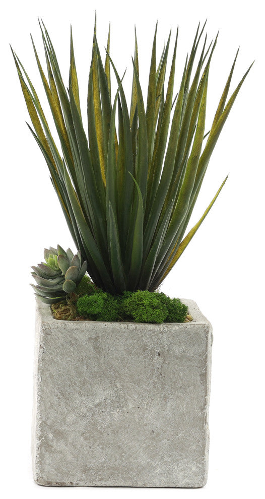 Gorgeous Faux Desert Yucca Plant in Modern Concrete Pot
