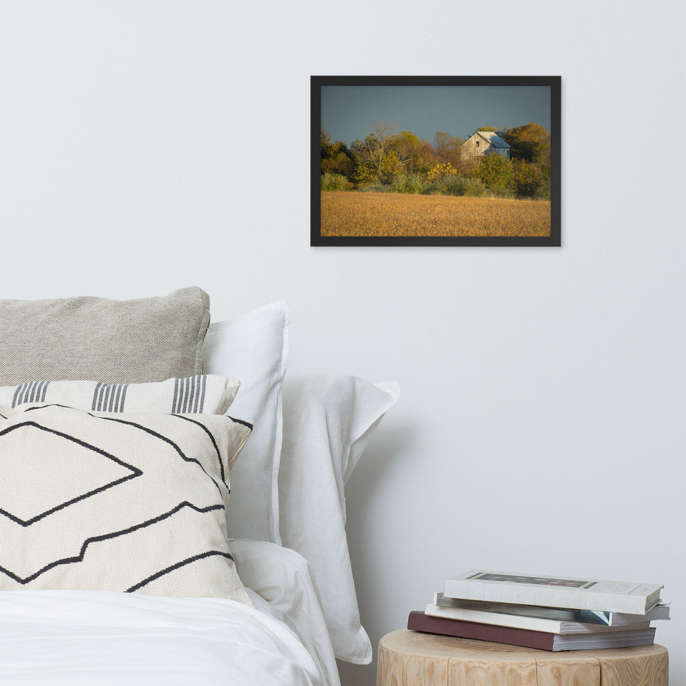 Abandoned Barn In The Trees Framed Photo Paper Wall Art Prints, Black, 12" X 18"