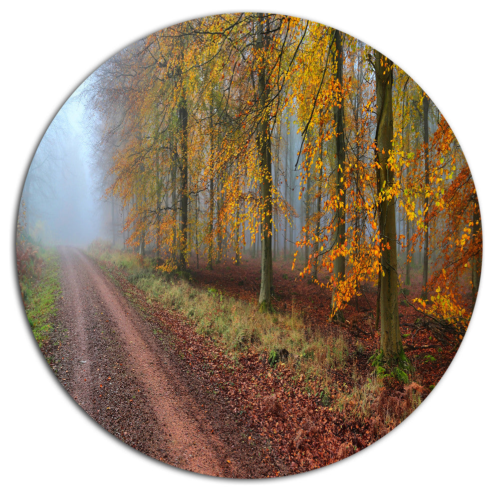 Raising Sun In Fall Forest Panorama, Forest Disc Metal Artwork, 36"