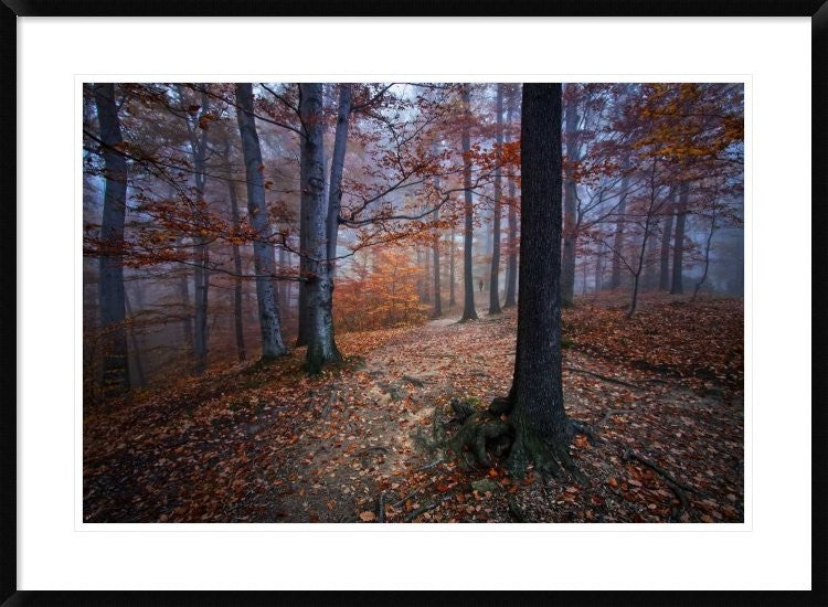 "I Was Lost I Was Found"  by Izabela Laszewska-Mitrega and Darek Mitrega, 38x28"