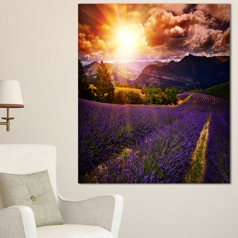 Beautiful Sunset over Lavender Field, Floral Canvas Art Print, 30"x40"