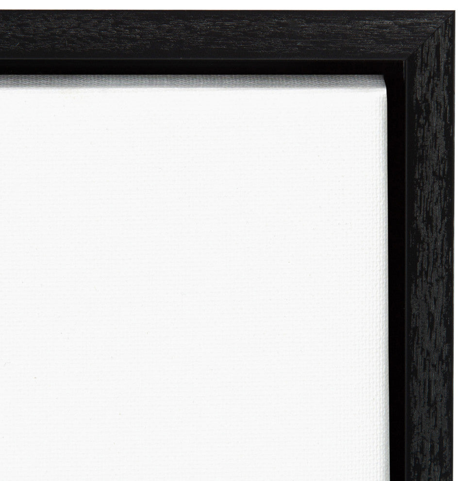Canvas Art Framed 'Black Cat II' by Grace Popp, Outer Size 18x24"