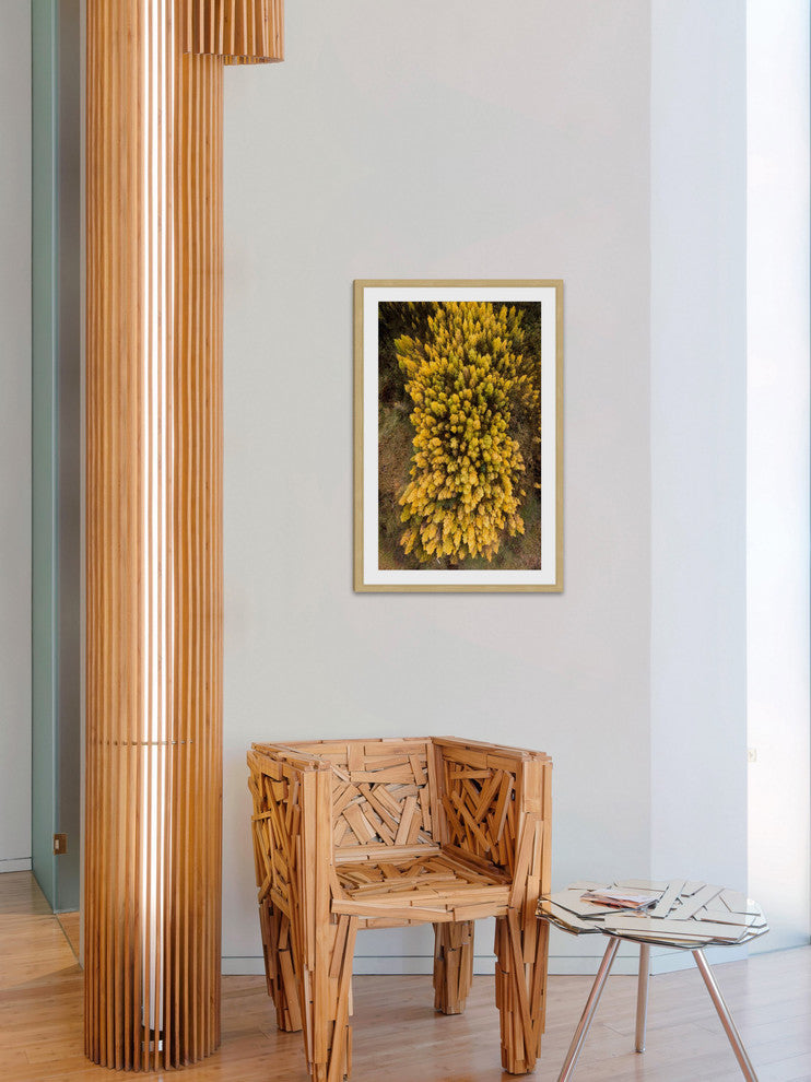 "Yellow Flora" Framed Print by Karolis Janulis